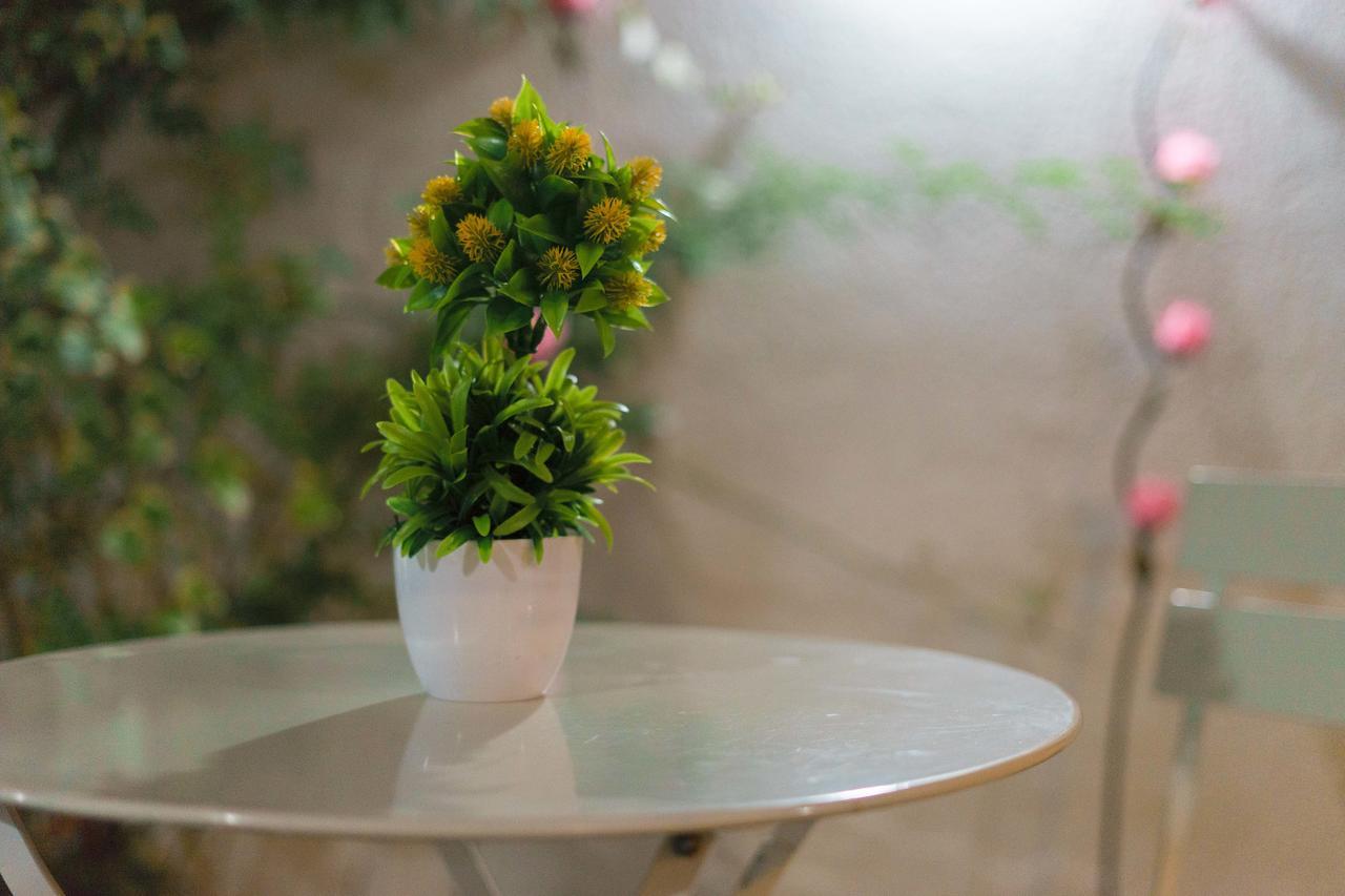 Hostal La Terraza Ρανκάγουα Εξωτερικό φωτογραφία